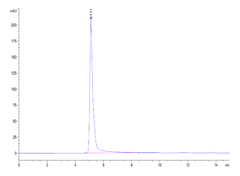The purity of Human CXCR5 VLP is greater than 95% as determined by SEC-HPLC.Recombinant Human CXCR5 VLP, Active