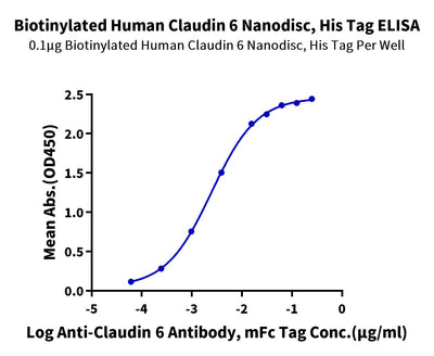 Immobilized Biotinylated Human Claudin 6 Nanodisc, His Tag at 1ug/ml (100ul/well) on the streptavidin precoated plate (5ug/ml). Dose response curve for Anti-Claudin6 Antibody, mFc Tag with the EC50 of 2.5ng/ml determined by ELISA (QC Test).Biotinylated Human Claudin 6 Nanodisc, Active