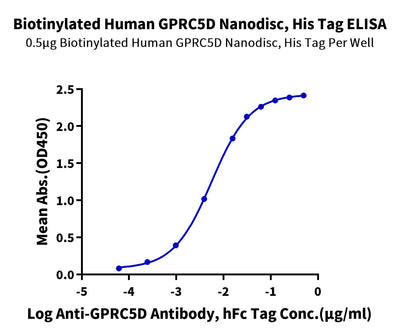 Immobilized Biotinylated Human GPRC5D Nanodisc, His Tag at 5ug/ml (100ul/well) on the streptavidin precoated plate(5ug/ml). Dose response curve for Anti-GPRC5D Antibody, hFc Tag with the EC50 of 5.6ng/ml determined by ELISA (QC Test).Biotinylated Human GPRC5D Nanodisc, Active