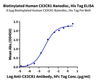 Immobilized Biotinylated Human CX3CR1 Nanodisc, His Tag at 5ug/ml (100ul/well) on the streptavidin precoated plate (5ug/ml). Dose response curve for Anti-CX3CR1 Antibody, hFc Tag with the EC50 of 4.0ng/ml determined by ELISA (QC Test).Biotinylated Human CX3CR1 Nanodisc, Active