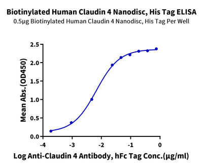 Immobilized Biotinylated Human Claudin 4 Nanodisc, His Tag at 5ug/ml (100ul/well) on the streptavidin precoated plate (5ug/ml). Dose response curve for Anti-Claudin 4 Antibody, hFc Tag with the EC50 of 6.6ng/ml determined by ELISA (QC Test).Biotinylated Human Claudin 4 Nanodisc, Active