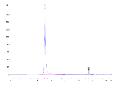The purity of Human Claudin 18.2 VLP is greater than 95% as determined by SEC-HPLC.Recombinant Human Claudin 18.2 VLP, Active