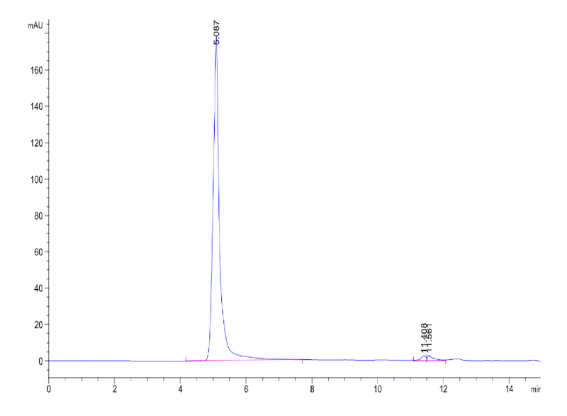 The purity of Human Claudin 18.2 VLP is greater than 95% as determined by SEC-HPLC.Recombinant Human Claudin 18.2 VLP, Active