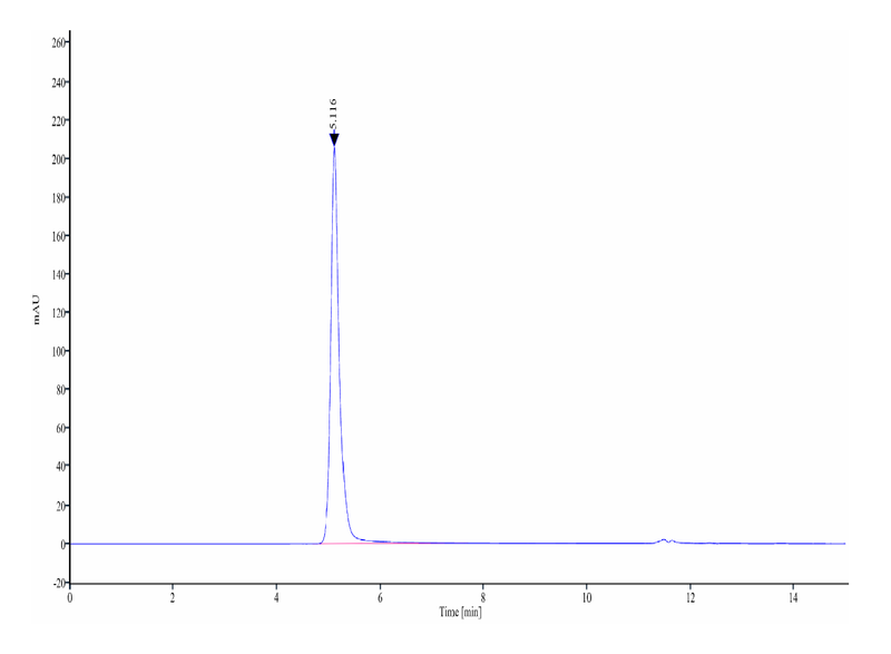 The purity of Human CCR8 VLP is greater than 95% as determined by SEC-HPLC.Recombinant Human CCR8 VLP, Active