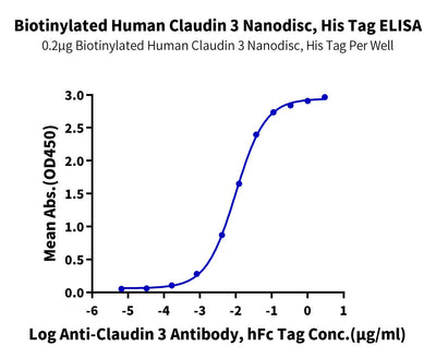 Immobilized Biotinylated Human Claudin 3, His Tag at 2 ug/ml (100ul/well) on the streptavidin precoated plate (5ug/ml). Dose response curve for Anti-Claudin 3 Antibody, hFc Tag with the EC50 of 9.9ng/ml determined by ELISA.Biotinylated Human Claudin 3 Nanodisc, Active