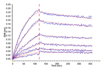 Biotinylated Human Claudin 6 Protein-VLP, ActiveBiotinylated Human Claudin 6 Protein-VLP, Active