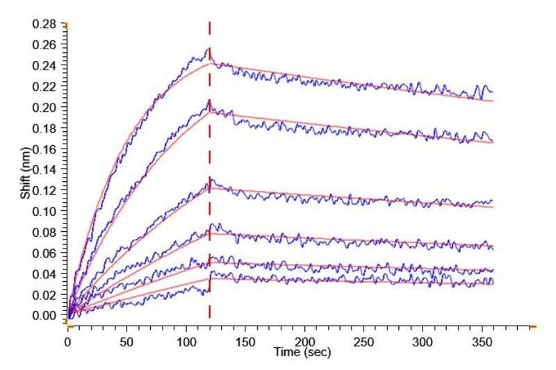 Biotinylated Human Claudin 6 Protein-VLP, ActiveBiotinylated Human Claudin 6 Protein-VLP, Active