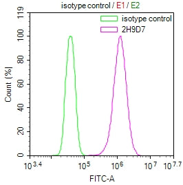 Overlay Peak curve showing Hela cells stained with GSTM3 Antibody (red line) at 1:100. The cells were incubated in 10% normal goat serum to block non-specific protein-protein interactions followed by the antibody (1µg/1*106cells) for 1h at 4°C. The secondary antibody used was FITC-conjugated Goat Anti-Mouse IgG(H+L) at 1/100 dilution for 30min at 4°C. Isotype control antibody (green line) was mouse IgG1 (1µg/1*106cells) used under the same conditions. Acquisition of >10,000 events was performed.Mouse anti-Human GSTM3 Monoclonal Antibody antibody