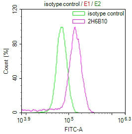Overlay Peak curve showing Hela cells stained with NOS2 Monoclonal Antibody (red line) at 1:50. The cells were incubated in 10% normal goat serum to block non-specific protein-protein interactions followed by the antibody (1µg/1*106cells) for 1h at 4°C. The secondary antibody used was FITC-conjugated Goat Anti-Mouse IgG(H+L) at 1/100 dilution for 30min at 4°C. Isotype control antibody (green line) was mouse IgG1 (1µg/1*106cells) used under the same conditions. Acquisition of >10,000 events was performed.Mouse anti-Human NOS2 Monoclonal antibody