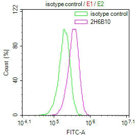 Overlay Peak curve showing HepG2 cells stained with NOS2 Monoclonal Antibody (red line) at 1:50. The cells were incubated in 10% normal goat serum to block non-specific protein-protein interactions followed by the antibody (1µg/1*106cells) for 1h at 4°C. The secondary antibody used was FITC-conjugated Goat Anti-Mouse IgG(H+L) at 1/100 dilution for 30min at 4°C. Isotype control antibody (green line) was mouse IgG1 (1µg/1*106cells) used under the same conditions. Acquisition of >10,000 events was performed.Mouse anti-Human NOS2 Monoclonal antibody