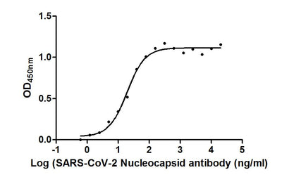 The Binding Activity of SARS-CoV-2-N Antibody with SARS-CoV-2-N  Activity: Measured by its binding ability in a functional ELISA. Immobilized SARS-CoV-2-N (the antibody at 2 μg/ml can bind SARS-CoV-2-N Antibody, the EC50 is 15.36 to 23.97 ng/ml.Nucleoprotein (NTD) Monoclonal Antibody