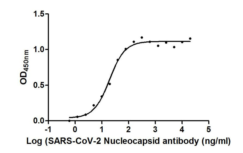 The Binding Activity of SARS-CoV-2-N Antibody with SARS-CoV-2-N  Activity: Measured by its binding ability in a functional ELISA. Immobilized SARS-CoV-2-N (the antibody at 2 μg/ml can bind SARS-CoV-2-N Antibody, the EC50 is 15.36 to 23.97 ng/ml.Nucleoprotein (NTD) Monoclonal Antibody
