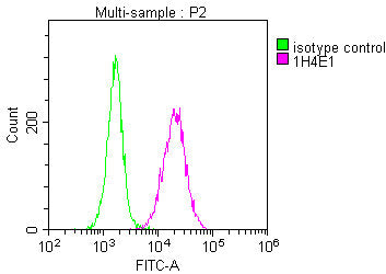 Overlay Peak curve showing HepG2 cells stained with PPA1 Monoclonal Antibody (red line) at 1:100. The cells were incubated in 10% normal goat serum to block non-specific protein-protein interactions followed by the antibody (1µg/1*106cells) for 1h at 4°C. The secondary antibody used was FITC-conjugated Goat Anti-Mouse IgG(H+L) at 1/100 dilution for 30min at 4°C. Isotype control antibody (green line) was mouse IgG1 (1µg/1*106cells) used under the same conditions. Acquisition of >10,000 events was performed.Mouse anti-Human PPA1 Monoclonal antibody