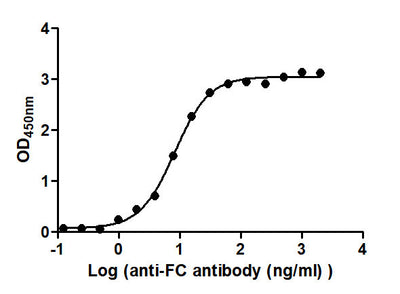 The Binding Activity of hIgG2 with Anti-FC antibodyActivity: Measured by its binding ability in a functional ELISA. Immobilized hIgG2 at 2 μg/mL can bind Anti-FC antibody, the EC50 is 7.384 to 9.177 ng/mL.