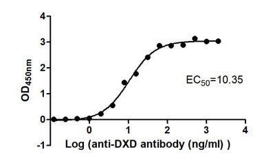The Binding Activity of ADC-1(DXD) with Anti-DXD-HRP antibodyActivity: Measured by its binding ability in a functional ELISA. Immobilized ADC-1(DXD) at 2 μg/mL can bind Anti-DXD-HRP antibody, the EC50 is 8.653 to 12.39 ng/mL.