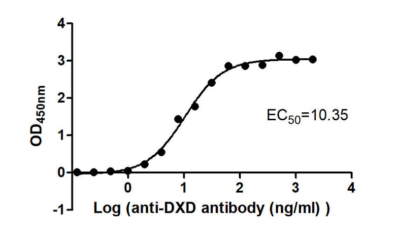 The Binding Activity of ADC-1(DXD) with Anti-DXD-HRP antibodyActivity: Measured by its binding ability in a functional ELISA. Immobilized ADC-1(DXD) at 2 μg/mL can bind Anti-DXD-HRP antibody, the EC50 is 8.653 to 12.39 ng/mL.
