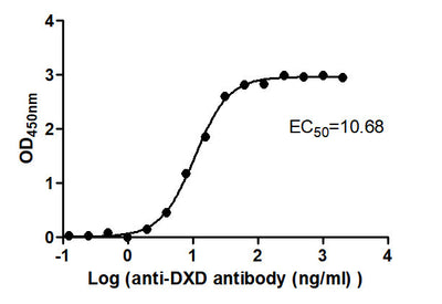 The Binding Activity of ADC-2(DXD) with Anti-DXD-HRP antibodyActivity: Measured by its binding ability in a functional ELISA. Immobilized ADC-2(DXD) at 2 μg/mL can bind Anti-DXD-HRP antibody, the EC50 is 9.854 to 11.57 ng/mL.