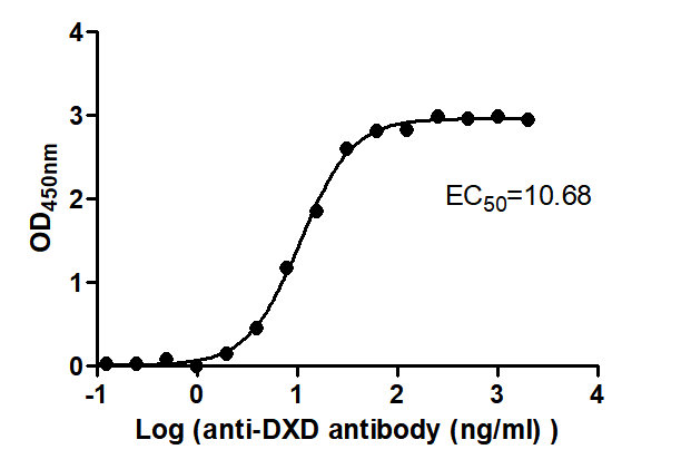 The Binding Activity of ADC-2(DXD) with Anti-DXD-HRP antibodyActivity: Measured by its binding ability in a functional ELISA. Immobilized ADC-2(DXD) at 2 μg/mL can bind Anti-DXD-HRP antibody, the EC50 is 9.854 to 11.57 ng/mL.
