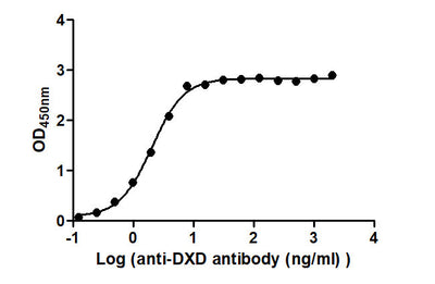 The Binding Activity of ADC-1(DXD) with Anti-DXD antibodyActivity: Measured by its binding ability in a functional ELISA. Immobilized ADC-1(DXD) at 2 μg/mL can bind Anti-DXD antibody, the EC50 is 1.840 to 2.253 ng/mL.