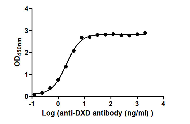 The Binding Activity of ADC-1(DXD) with Anti-DXD antibodyActivity: Measured by its binding ability in a functional ELISA. Immobilized ADC-1(DXD) at 2 μg/mL can bind Anti-DXD antibody, the EC50 is 1.840 to 2.253 ng/mL.