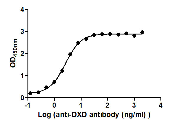 The Binding Activity of ADC-2(DXD) with Anti-DXD antibodyActivity: Measured by its binding ability in a functional ELISA. Immobilized ADC-2(DXD) at 2 μg/mL can bind Anti-DXD antibody, the EC50 is 2.365 to 2.835 ng/mL.