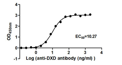 The Binding Activity of ADC-1(DXD) with Anti-DXD-HRP antibodyActivity: Measured by its binding ability in a functional ELISA. Immobilized ADC-1(DXD) at 2 μg/mL can bind Anti-DXD-HRP antibody, the EC50 is 9.268 to 11.37 ng/mL.
