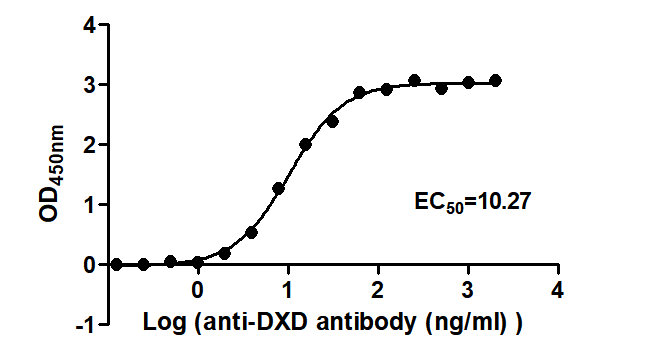 The Binding Activity of ADC-1(DXD) with Anti-DXD-HRP antibodyActivity: Measured by its binding ability in a functional ELISA. Immobilized ADC-1(DXD) at 2 μg/mL can bind Anti-DXD-HRP antibody, the EC50 is 9.268 to 11.37 ng/mL.