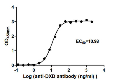 The Binding Activity of ADC-2(DXD) with Anti-DXD-HRP antibodyActivity: Measured by its binding ability in a functional ELISA. Immobilized ADC-2(DXD) at 2 μg/mL can bind Anti-DXD-HRP antibody, the EC50 is 10.19 to 11.82 ng/mL.