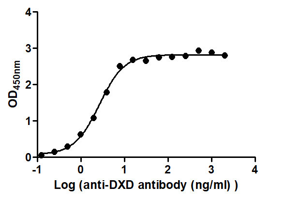The Binding Activity of ADC-1(DXD) with Anti-DXD antibodyActivity: Measured by its binding ability in a functional ELISA. Immobilized ADC-1(DXD) at 2 μg/mL can bind Anti-DXD antibody, the EC50 is 2.298 to 3.054 ng/mL.