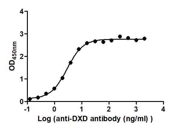 The Binding Activity of ADC-2(DXD) with Anti-DXD antibodyActivity: Measured by its binding ability in a functional ELISA. Immobilized ADC-2(DXD) at 2 μg/mL can bind Anti-DXD antibody, the EC50 is 2.566 to 3.233 ng/mL.