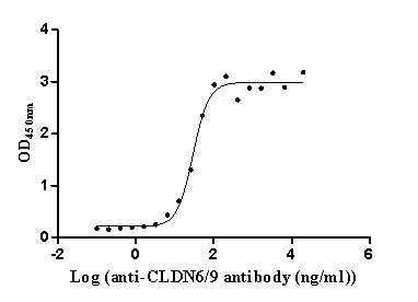 The Binding Activity of Human CLDN9 with Anti-CLDN6/9 Recombinant AntibodyActivity: Measured by its binding ability in a functional ELISA. Immobilized Human CLDN9 (the antibody at 10 μg/mL can bind Anti-CLDN6/9 recombinant antibody, the EC50 is 24.93-35.47 ng/mL.