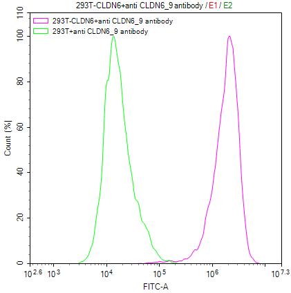 Untransfected HEK293T cells surface (green line) and transfected Human CLDN6 HEK293T stable cells surface (red line) were stained with anti-CLDN6/9 recombinant antibody (2µg/1*106cells), washed and then followed by FITC-conjugated anti-Human IgG Fc antibody and analyzed with flow cytometry.