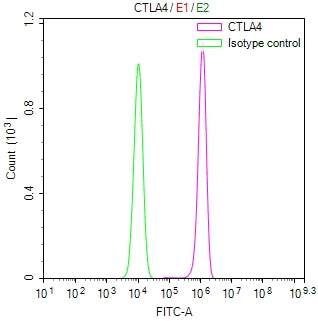 Overlay Peak curve showing JK cells surface stained with CTLA4 Recombinant Monoclonal Antibody (red line) at 1:50. Then 10% normal goat serum to block non-specific protein-protein interactions followed by the antibody (1ug/1*106cells) for 45min at 4℃. The secondary antibody used was FITC-conjugated Goat Anti-Mouse IgG(H+L) at 1/200 dilution for 35 min at 4°C. Isotype control antibody (green line) was mouse IgG1 (1µg/1*106cells) used under the same conditions. Acquisition of >10,015 events was performed.CTLA4 Recombinant Monoclonal Antibody
