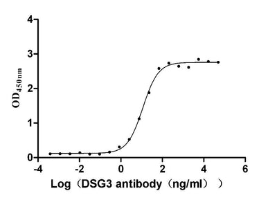 The Binding Activity of Human DSG3 with Anti-DSG3 recombinant antibody | Activity: Measured by its binding ability in a functional ELISA. Immobilized human DSG3 (the antibody at 2 μg/mL can bind Anti-DSG3 recombinant antibody, the EC50 is 10.16-12.87 ng/mL.