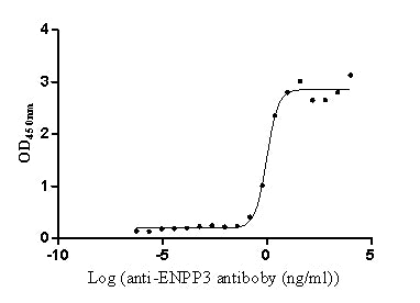 The Binding Activity of Huamn ENPP3 with Anti- ENPP3 Recombinant AntibodyActivity: Measured by its binding ability in a functional ELISA. Immobilized Human ENPP3(the antibody at 2 μg/mL can bind Anti-ENPP3 recombinant antibody, the EC50 is 2.151-2.492 ng/mL