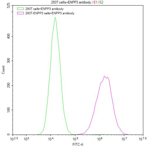 Untransfected HEK293T cells surface (green line) and transfected Human ENPP3 HEK293T stable cells surface (red line) were stained with anti-ENPP3 recombinant antibody (2µg/1*106cells), washed and then followed by FITC-conjugated anti-Human IgG Fc antibody and analyzed with flow cytometry.