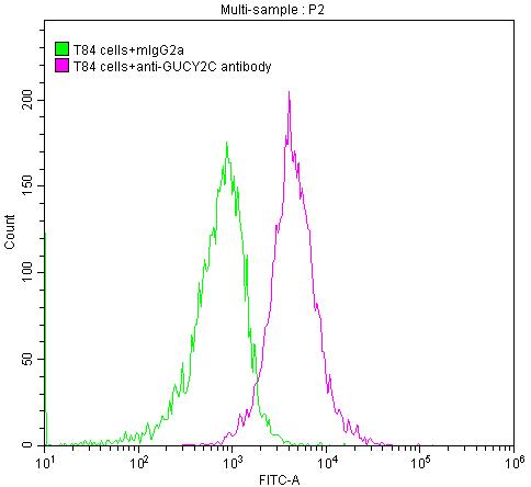 T84 cells were stained with Mouse IgG2a (green line) and anti-GUCY2C antibody (red line) (2µg/1*106cells), washed and then followed by FITC-conjugated Goat Anti-Mouse IgG(H+L) antibody and analyzed with flow cytometry.GUCY2C Recombinant Monoclonal Antibody