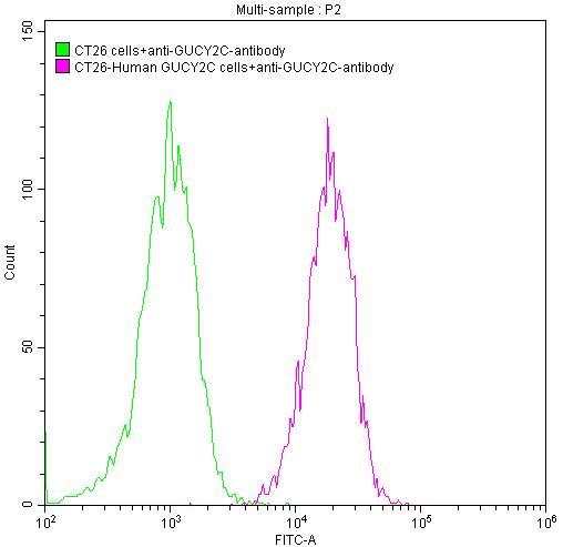 Untransfected CT26 cells surface (green line) and transfected Human GUCY2C CT26 stable cells surface (red line) were stained with anti-GUCY2C antibody (2µg/1*106cells), washed and then followed by FITC-conjugated Goat Anti-Mouse IgG(H+L) antibody and analyzed with flow cytometry.GUCY2C Recombinant Monoclonal Antibody