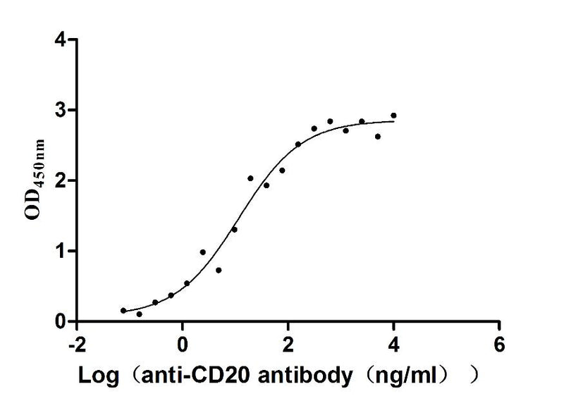 The Binding Activity of Human MS4A1 with Anti-MS4A1 recombinant antibodyActivity: Measured by its binding ability in a functional ELISA. Immobilized Human MS4A1 (the antibody at 5 μg/mL can bind Anti-MS4A1 recombinant antibody, the EC50 is 6.959-19.70 ng/mL.MS4A1 Recombinant Monoclonal Antibody