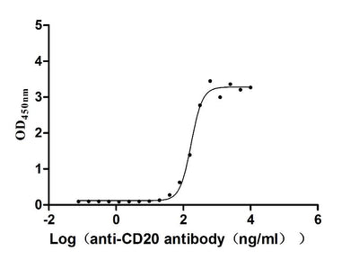 The Binding Activity of Dog MS4A1 with Anti-MS4A1 recombinant antibodyActivity: Measured by its binding ability in a functional ELISA. Immobilized Dog MS4A1 (the antibody at 10 μg/mL can bind Anti-MS4A1 recombinant antibody, the EC50 is 147.3-199.0 ng/mL.MS4A1 Recombinant Monoclonal Antibody