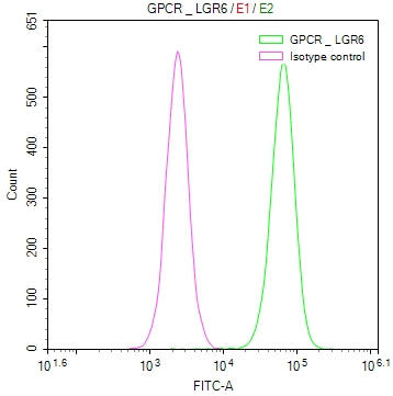 Overlay Peak curve showing Hela cells surface stained with LGR6 Recombinant Monoclonal Antibody (red line) at 1:50. Then 10% normal goat serum to block non-specific protein-protein interactions followed by the antibody (1µg/1*106cells) for 45min at 4℃. The secondary antibody used was FITC-conjugated Goat Anti-rabbit IgG(H+L) at 1:200 dilution for 35min at 4℃.Control antibody (green line) was rabbit IgG (1µg/1*106cells) used under the same conditions. Acquisition of >10,000 events was performed.