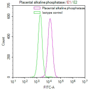 Overlay Peak curve showing HepG2 cells surface stained with ALPP Recombinant Monoclonal Antibody (red line) at 1:50. Then 10% normal goat serum to block non-specific protein-protein interactions followed by the antibody (1µg/1*106cells) for 45min at 4℃. The secondary antibody used was FITC-conjugated Goat Anti-rabbit IgG(H+L) at 1:200 dilution for 35min at 4℃.Control antibody (green line) was rabbit IgG (1µg/1*106cells) used under the same conditions. Acquisition of >10,000 events was performed.ALPP Recombinant Monoclonal Antibody