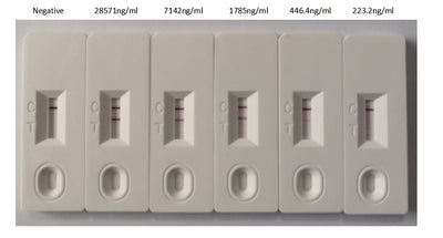In the Colloidal Gold Immunochromatography Assay detection system, the background of antibody (N Recombinant Monoclonal Antibody) is clean, the detection limit can be as low as 446.4ng/ml (31.25ng/0.07ml), and the sensitivity is very good.N Recombinant Monoclonal Antibody