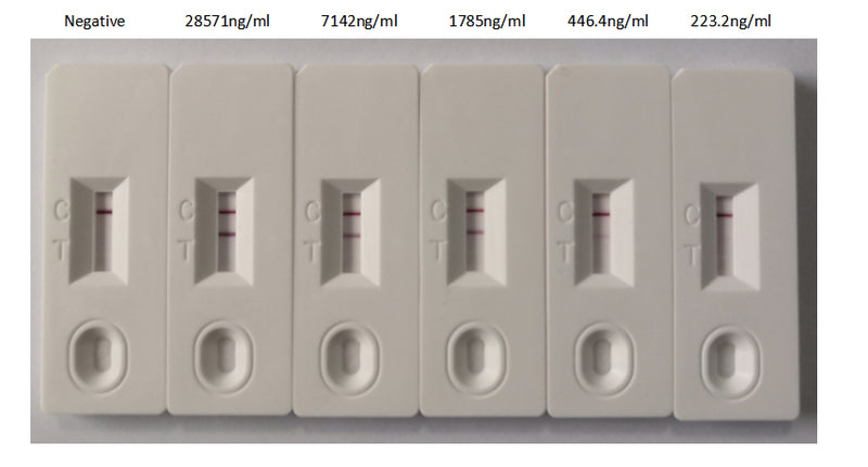 In the Colloidal Gold Immunochromatography Assay detection system, the background of antibody (N Recombinant Monoclonal Antibody) is clean, the detection limit can be as low as 446.4ng/ml (31.25ng/0.07ml), and the sensitivity is very good.N Recombinant Monoclonal Antibody