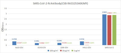 ELISA: Immobilize various types of SARS proteins at concentration of 2μg/ml on solid substrate, then react with SARS-CoV-2-N Antibody at concentration of 100μg/ml, 10μg/ml and 1μg/ml. It shows the SARS-CoV-2-N Antibody (N Recombinant Monoclonal Antibody) is specific for SARS-CoV-2-N protein, without any cross-reactivity with NL63-CoV, HCoV-OC43, HCoV-229E or HCoV-HKU1.N Recombinant Monoclonal Antibody