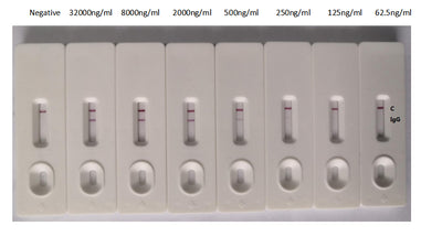 In the Colloidal Gold Immunochromatography Assay detection system, the background of antibody (N Recombinant Monoclonal Antibody) is clean, the detection limit can be as low as 125ng/ml (8.75ng/0.07ml), and the sensitivity is very good.N Recombinant Monoclonal Antibody
