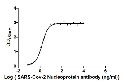 The Binding Activity of SARS-CoV-2-N Antibody with SARS-CoV-2-NActivity: Measured by its binding ability in a functional ELISA. Immobilized SARS-CoV-2-N at 2 μg/ml can bind SARS-CoV-2-N Antibody, the EC50 is 1.586 ng/ml.N Recombinant Monoclonal Antibody