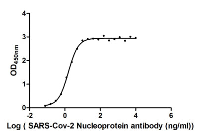 The Binding Activity of SARS-CoV-2-N Antibody with SARS-CoV-2-NActivity: Measured by its binding ability in a functional ELISA. Immobilized SARS-CoV-2-N at 2 μg/ml can bind SARS-CoV-2-N Antibody, the EC50 is 1.586 ng/ml.N Recombinant Monoclonal Antibody