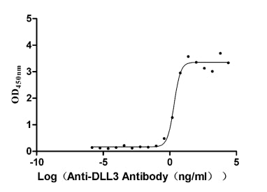 The Binding Activity of DLL3 with Anti-DLL3 Recombinant Antibody.Activity: Measured by its binding ability in a functional ELISA. Immobilized DLL3 (the antibody at 2 μg/mL can bind Anti-DLL3 Recombinant Antibody(DLL3 Recombinant Monoclonal Antibody), the EC50 is 1.625-2.702 ng/mL.