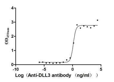 The Binding Activity of DLL3 with Anti-DLL3 Recombinant Antibody.Activity: Measured by its binding ability in a functional ELISA. Immobilized DLL3 (the antibody at 2 μg/mL can bind Anti-DLL3 Recombinant Antibody(DLL3 Recombinant Monoclonal Antibody), the EC50 is 1.102-1.707 ng/mL.
